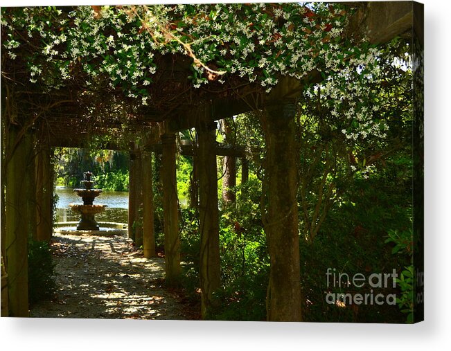 Garden Acrylic Print featuring the photograph Italian Garden Pergola and Fountain by Amy Lucid
