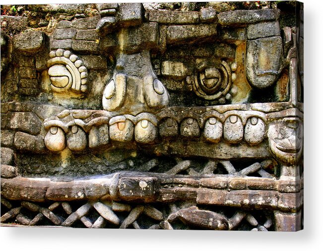 Ruins Acrylic Print featuring the photograph Jaguar by Nick Busselman