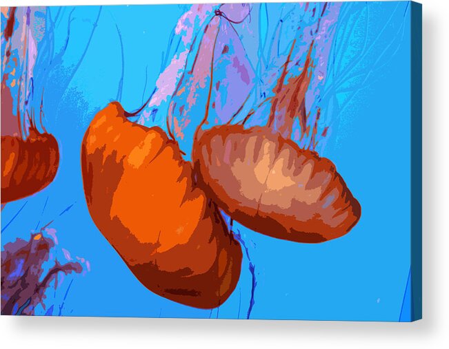 Jellyfish Acrylic Print featuring the photograph Jellyfish by Carol McCarty