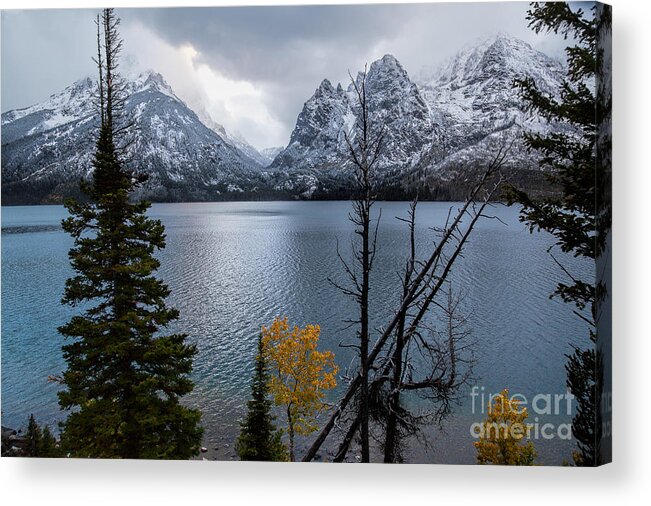 Autumn Colors Acrylic Print featuring the photograph Jenny Lake by Jim Garrison