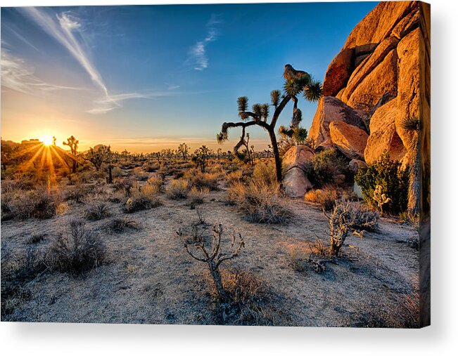 California Acrylic Print featuring the photograph Joshua's Sunset by Peter Tellone