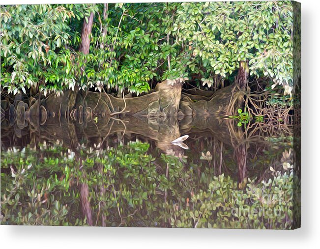 Jungle Reflection Acrylic Print featuring the photograph Jungle Reflections 2 by Carole Lloyd