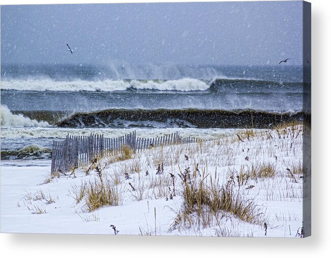 Juno Acrylic Print featuring the photograph Juno 2015 by Robert Seifert