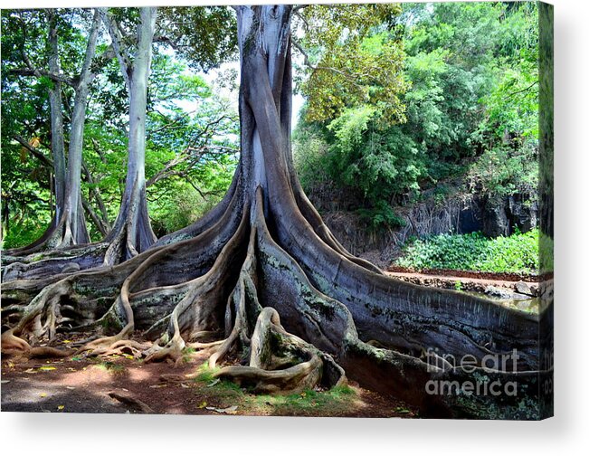 Jurassic Trees Acrylic Print featuring the photograph Jurassic Trees by Mary Deal