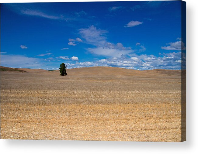 Palouse Acrylic Print featuring the photograph Just you and I by Kunal Mehra