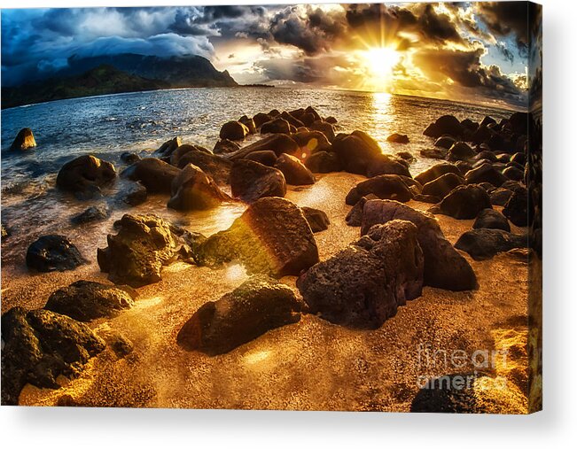 Palm Trees Acrylic Print featuring the photograph Kauai Gold by Eye Olating Images