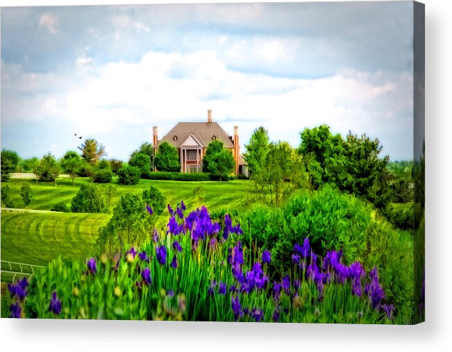 Donamire Horse Farm Acrylic Print featuring the photograph Kentucky Mansion by Mary Timman
