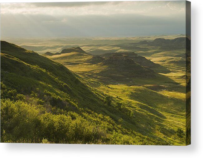 Horizon Acrylic Print featuring the photograph Killdeer Badlands In The East Block Of by Dave Reede