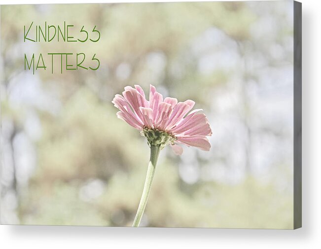 Zinnia Acrylic Print featuring the photograph Kindness Matters by Jeanne May