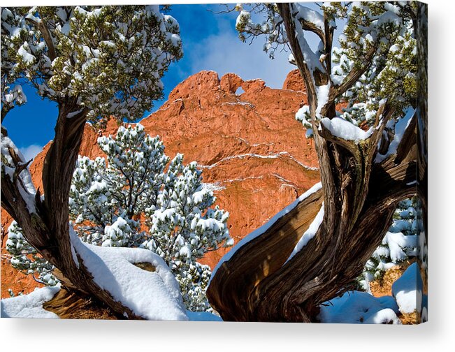 Colorado Springs Photographs Acrylic Print featuring the photograph Kissing Camels by John Hoffman