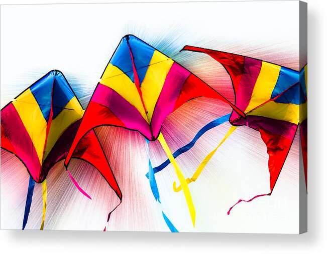 Kites Acrylic Print featuring the photograph Kites by Michael Arend