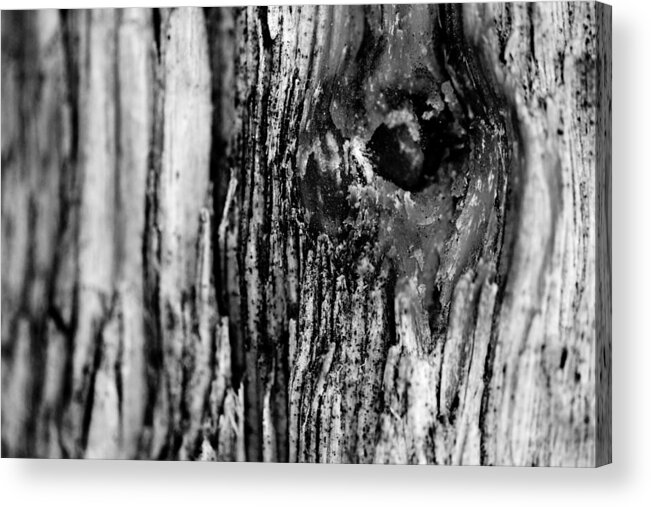 Black And White Acrylic Print featuring the photograph Knot looking at you by Kevin Bone