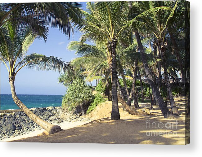  Acrylic Print featuring the photograph Kuau Cove Beach Paia Maui North Shore Hawaii by Sharon Mau