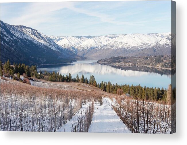 Lake Acrylic Print featuring the photograph Lake Chelan in Winter by Alexander Fedin