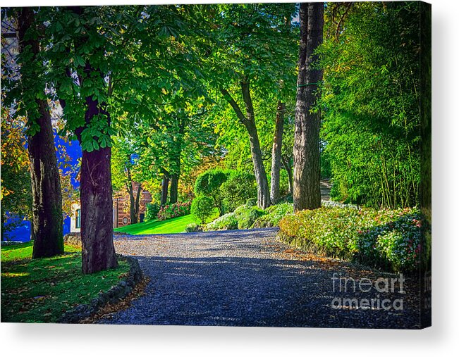 Sunlight Filtering Through Trees Acrylic Print featuring the photograph Lake Como Path by Kate McKenna