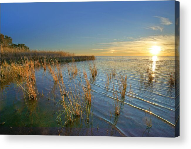 Tim Fitzharris Acrylic Print featuring the photograph Lake Pontchartrain At Sunset Louisiana by Tim Fitzharris