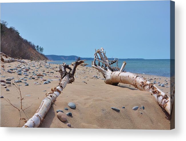 Birch Trees Acrylic Print featuring the photograph Lake Superior Sandy Beach Grand Marais Michigan by Kathryn Lund Johnson