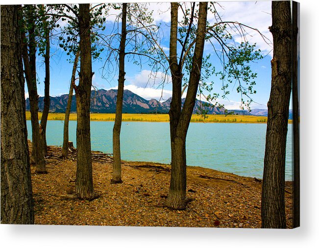 Lake Scene Acrylic Print featuring the photograph Lake Through The Trees by Juli Ellen