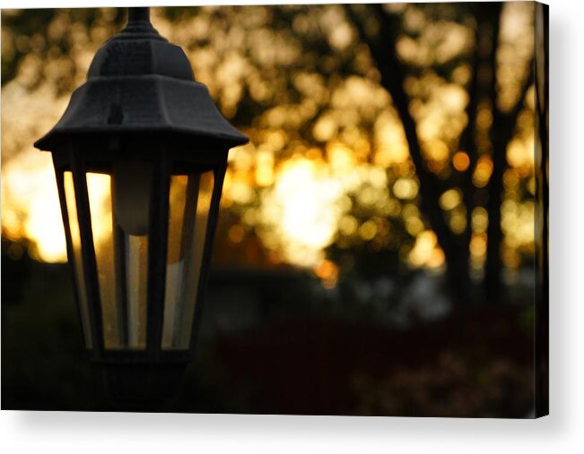 Lamp Acrylic Print featuring the photograph Lamplight by Photographic Arts And Design Studio