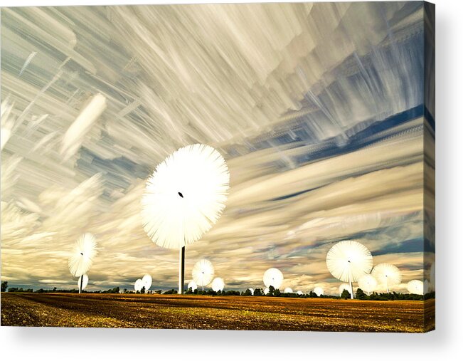 Landscape Acrylic Print featuring the photograph Land of the Giant Lollypops by Matt Molloy