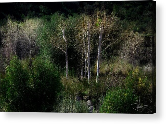 Trees Acrylic Print featuring the photograph Landscape 06Feb2015 by Jim Vance