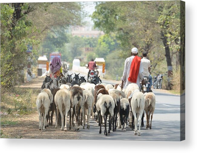 Agriculture Acrylic Print featuring the photograph Landscape by Sanjay Ghorpade