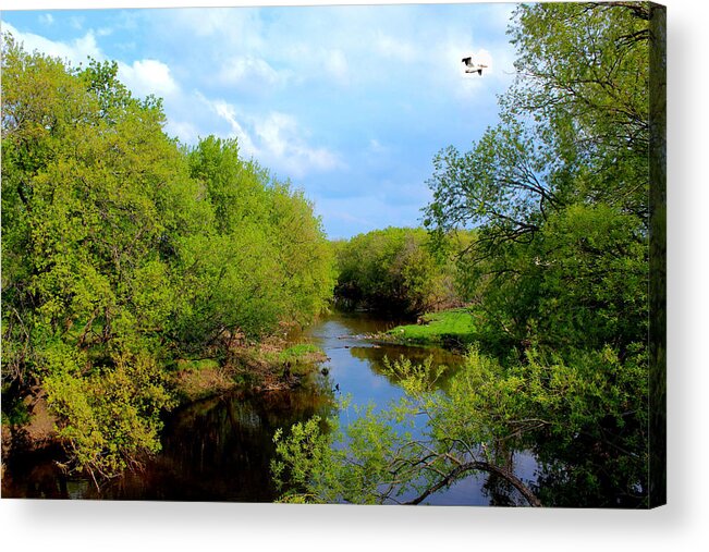  River Acrylic Print featuring the photograph Lasalle River by Larry Trupp