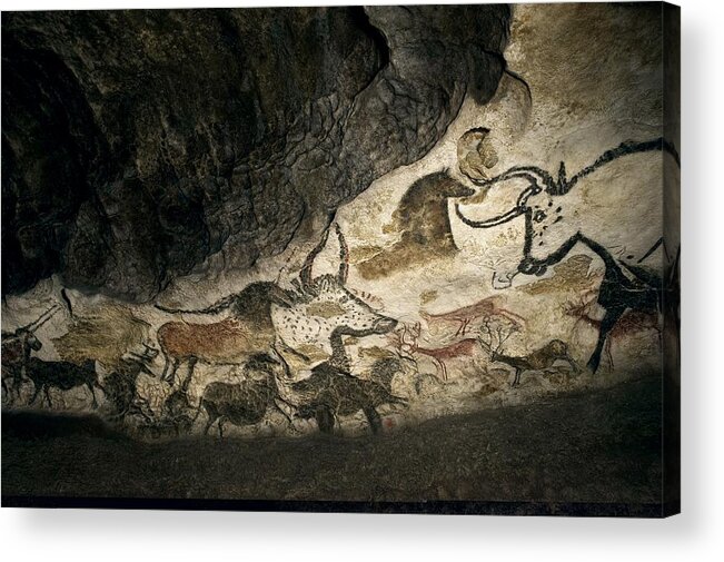 Cave Painting Acrylic Print featuring the photograph Lascaux II cave painting replica by Science Photo Library