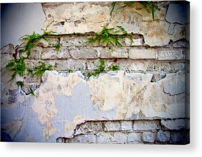 Wall Acrylic Print featuring the photograph Life Finds A Way by Her Arts Desire