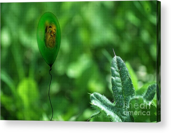 Breeze Acrylic Print featuring the photograph Lifes Little Breezes by The Stone Age