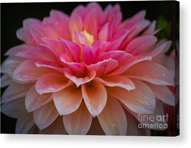  Acrylic Print featuring the photograph Light in the Darkness by Patricia Babbitt