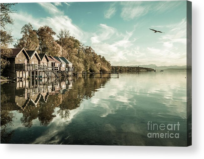 Seagull Acrylic Print featuring the photograph Lighted By The Last Sun Beams by Hannes Cmarits