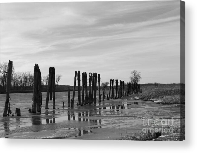 River Acrylic Print featuring the photograph Line of river pilings by Yumi Johnson