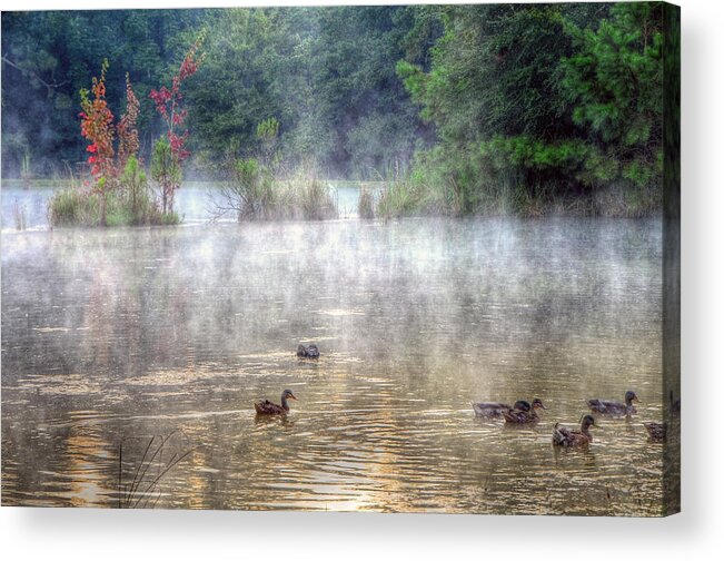 Pond Acrylic Print featuring the photograph Little Bit Of Fall by Charlotte Schafer