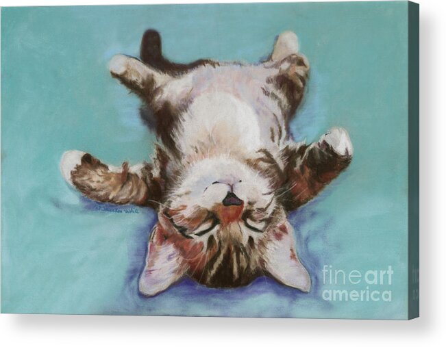 Cat Painting Acrylic Print featuring the pastel Little Napper by Pat Saunders-White