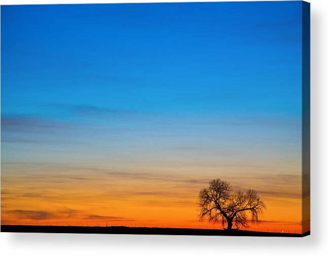 Tree Acrylic Print featuring the photograph Lonely Tree on the Plains by James BO Insogna