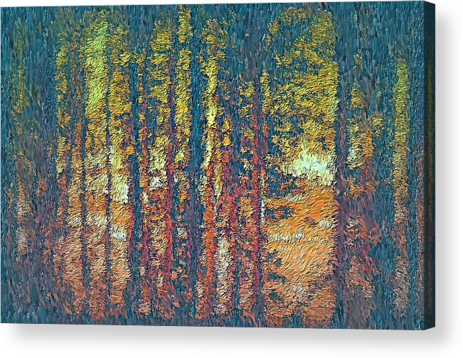 Abstract Acrylic Print featuring the photograph Look Through The Shadows by Lisa Holland-Gillem