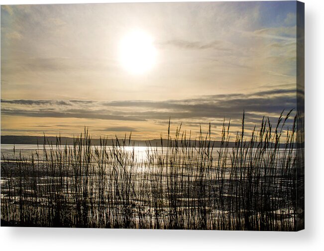 North Wales Acrylic Print featuring the photograph Looking at Wales through the grass by Spikey Mouse Photography