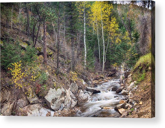 Colorado Acrylic Print featuring the photograph Looking Up the South St Vrain Canyon by James BO Insogna