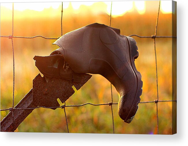 Country Acrylic Print featuring the photograph Lost and Found by Viviana Nadowski