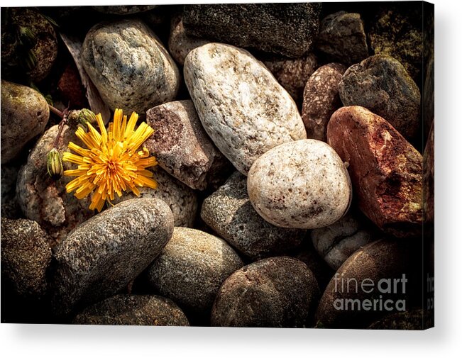 Abandoned Acrylic Print featuring the photograph Lost by Silvia Ganora