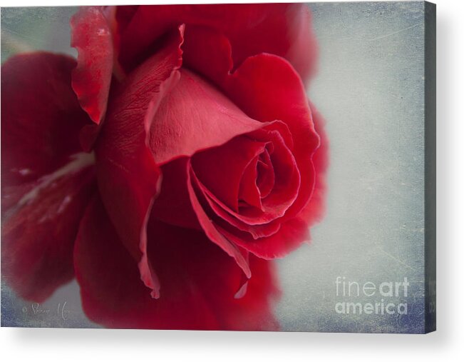 Love Is A Canvas Acrylic Print featuring the photograph Love is a Canvas by Sharon Mau