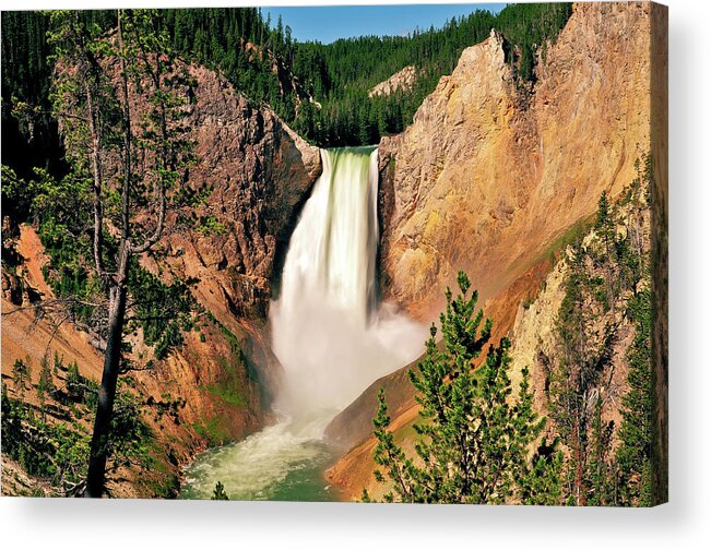 Yellowstone National Park Acrylic Print featuring the photograph Lower Falls from Red Rock Point by Greg Norrell