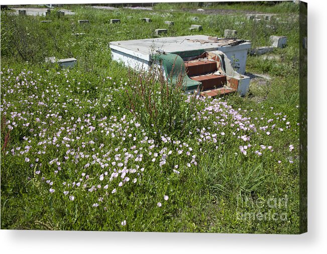 Hurricane Acrylic Print featuring the photograph Lower Ninth Ward After Katrina by Jim West