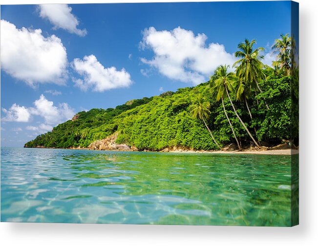 Bay Acrylic Print featuring the photograph Lush Tropical Coast by Jess Kraft
