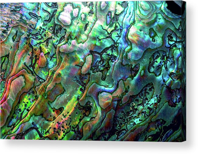 Mollusk Acrylic Print featuring the photograph Luxury Background Of Blue Abalone Pearl by Elen11