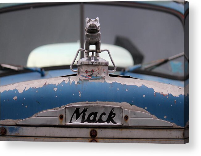 Mack Acrylic Print featuring the photograph Mack Bulldog by Trent Mallett