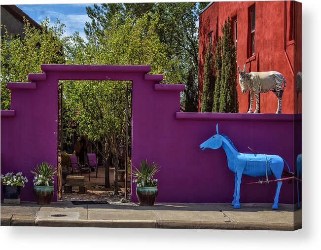 Gate Acrylic Print featuring the photograph Magenta Gate 2 by Diana Powell