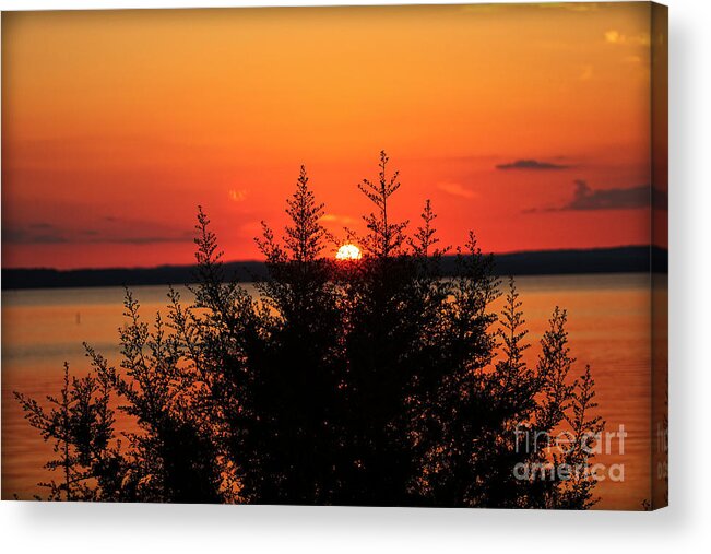 Sunset Acrylic Print featuring the photograph Magic At Sunset by Ella Kaye Dickey