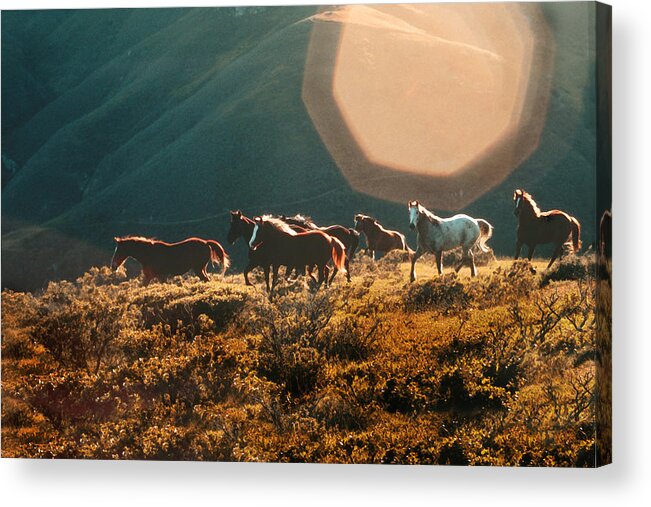 Magical Scenic Herd Acrylic Print featuring the painting Magical herd by Melinda Hughes-Berland